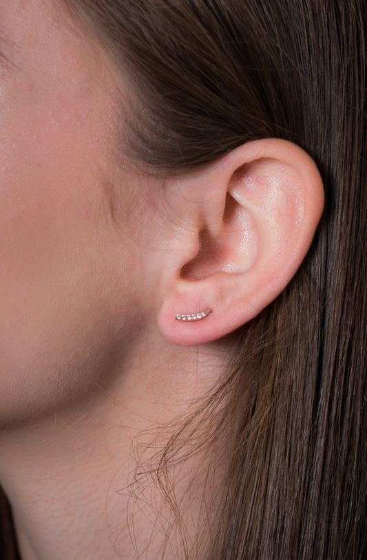 SUMMER SORBET VANILLA VINE EARRINGS SMALL ROSE GOLD