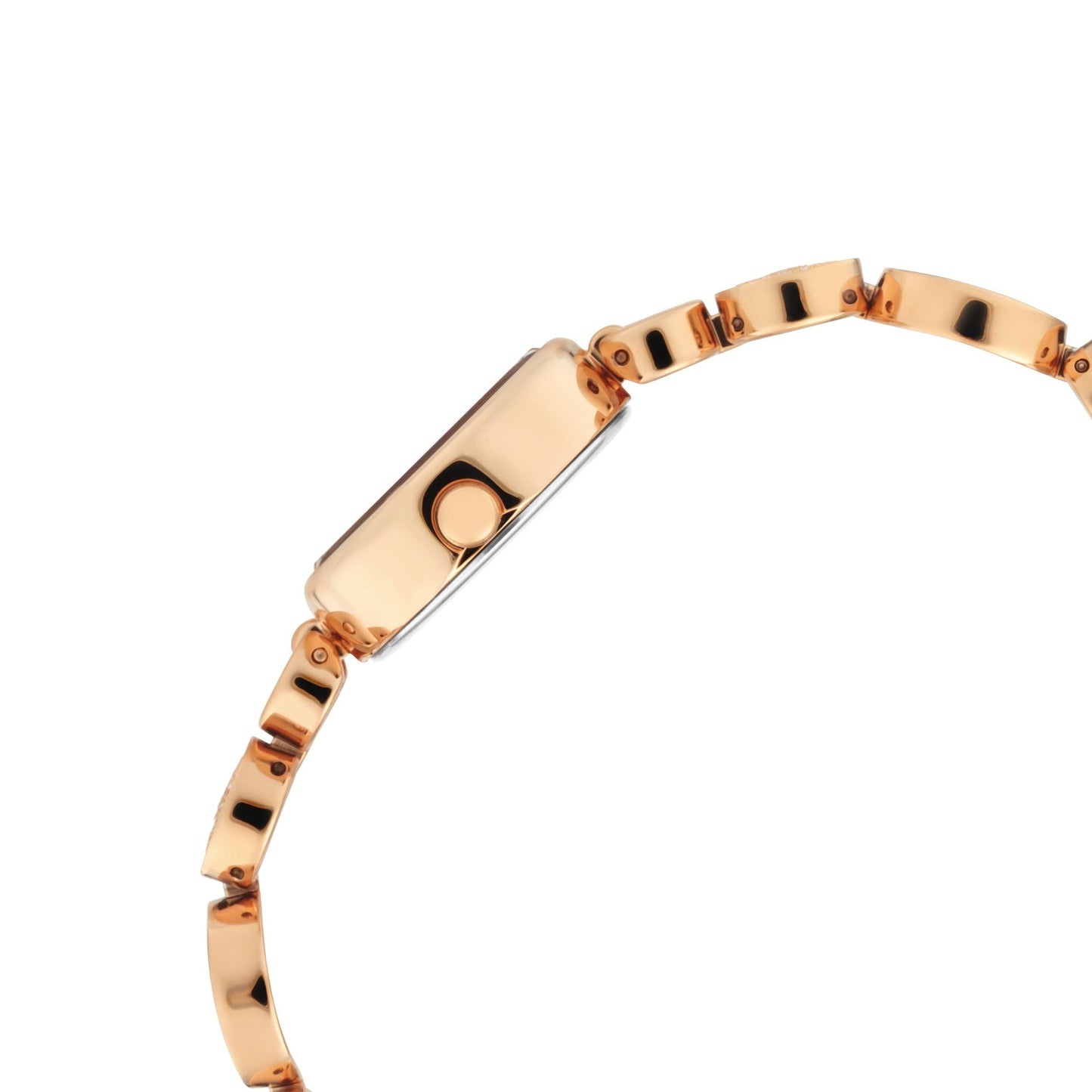 Titan Raga Mother of Pearl Dial Women Watch With Metal Strap for Women