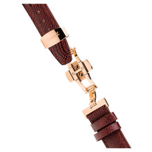 Load image into Gallery viewer, Ingersoll Grafton Automatic Brown Watch